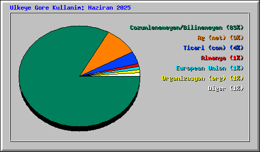 Ulkeye Gore Kullanim: Haziran 2025