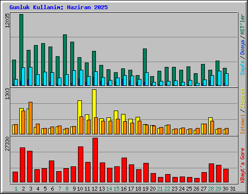 Gunluk Kullanim: Haziran 2025