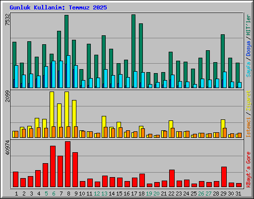 Gunluk Kullanim: Temmuz 2025
