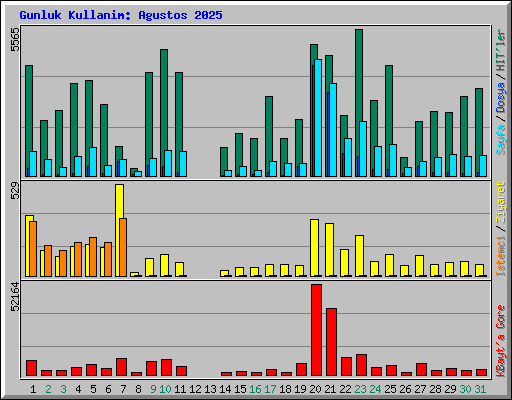 Gunluk Kullanim: Agustos 2025