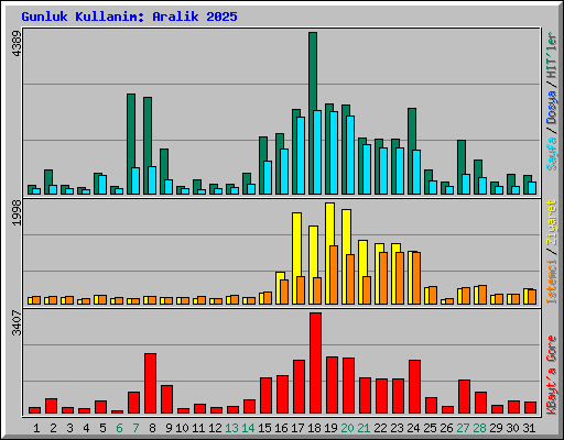Gunluk Kullanim: Aralik 2025