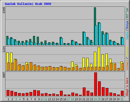 Gunluk Kullanim: Ocak 2026