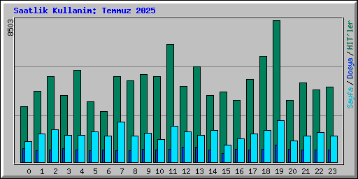 Saatlik Kullanim: Temmuz 2025