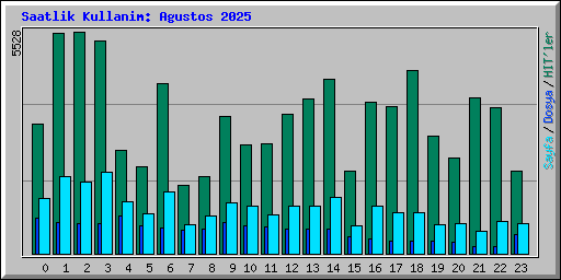 Saatlik Kullanim: Agustos 2025