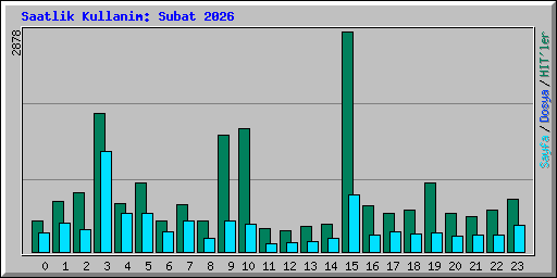 Saatlik Kullanim: Subat 2026